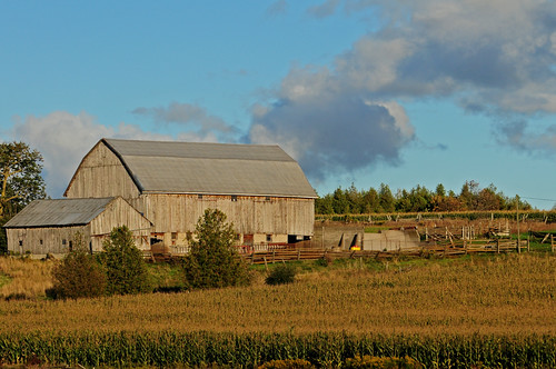 autumn barn farm agriculture bancroft