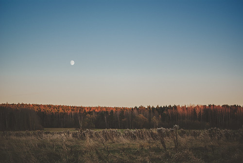 autumn trees sunset sky moon fall forest landscape 50mm day sweden clear sverige 365 höst 2012 landskap värmland kristinehamn project365 365days sonydslra300 dt50mmf18sam