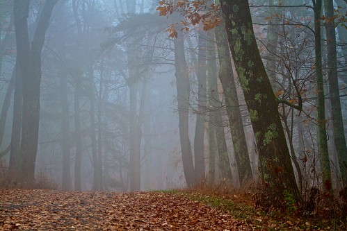 fall fog virginia nps skylinedrive shenandoahnationalpark canonef70200mmf28lis