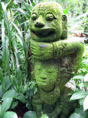 Singapore 2012 Botanical Garden