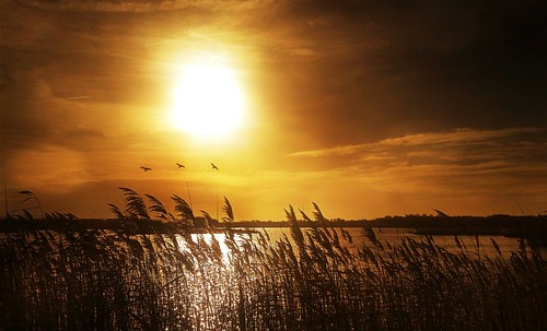 Lough Boora Sunset