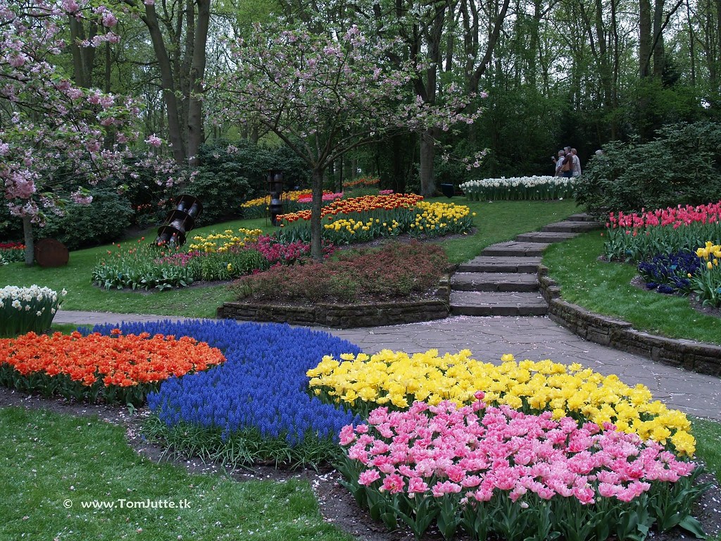 Keukenhof Flower Garden - a Kingdom of Tulips