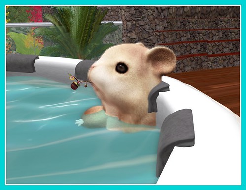 A Rodent in The Hot Tub