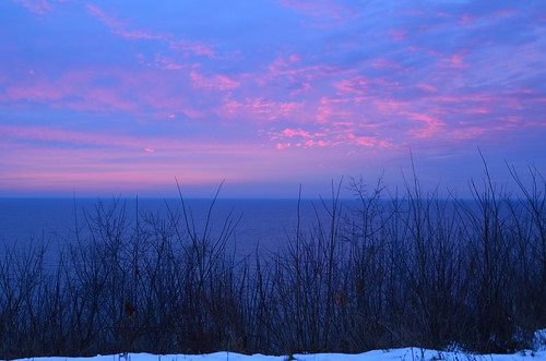 pink blue trees winter sky snow ontario cold night sunrise nikon cloudy earlymorning scarborough scarboroughbluffs birchcliff d7000