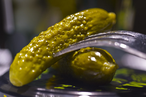 macro pickles pickle 365dayproject raynoxdcr250macro nikond3100