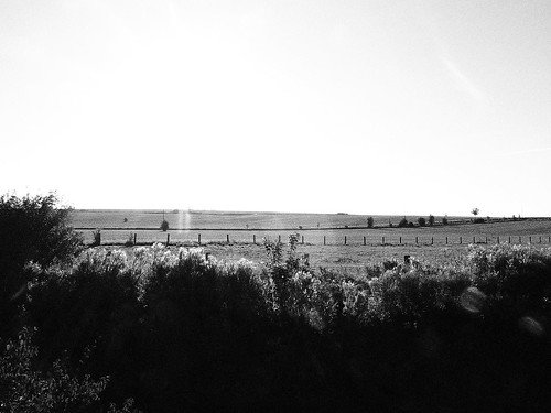 blackandwhite field landscape geotagged countryside noiretblanc paysage campagne champ aisne fonsomme geo:lat=4991276728886981 geo:lon=34035881428833363