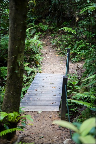 hemmanttrail hiking bukitfraser frasershill frasershilltripseptember2016 family vacation sony ilce7rm2 alpha7rmarkii harisrahmancom harisabdulrahman fotobyhariscom fe55mmf18zasonnart pahang malaysia