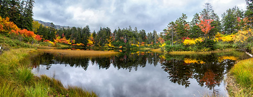 autumn trees reflection water leaves japan pond hokkaido daisetsuzannationalpark kogenonsen flickraward
