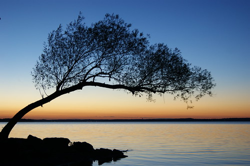 park sunset lake tree water twilight clear explore madison mendota wi tenney a290 sooc
