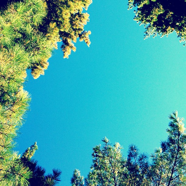 #arboretum sky with @annakristina28 @mopilk Kelly and Beth