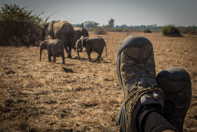 Traveling Boots - Zambian Safari