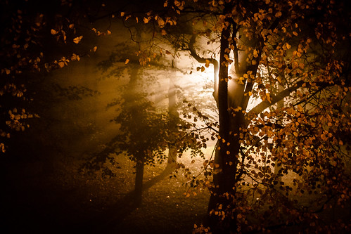 fog night sigma warsaw fotografia warszawa maciej maciek noc mgła peasouper cybulski canoneos60d pattcatz