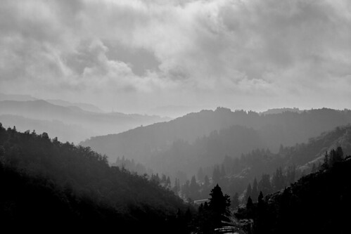trees blackandwhite white mist mountain black mountains misty clouds forest blackwhite