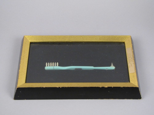 Tooth brush shared in space by astronauts Frank Borman and Jim Lovell, 1965.