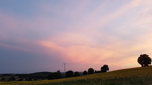 bourgogne paysage landscape ciel sky coucher soleil coucherdesoleil sunset arbre tree champ field france