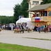 Kasaške dirke v Komendi 18.09.2016 Sedma dirka enovpreg ponijev