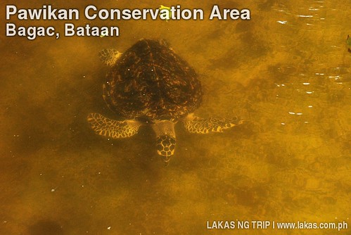 Pawikan Conservation Area of Bagac, Bataan