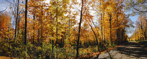 road autumn panorama fall shadows unitedstates michigan beautifullight sideoftheroad galesburg fortcuster ifall iphoneography