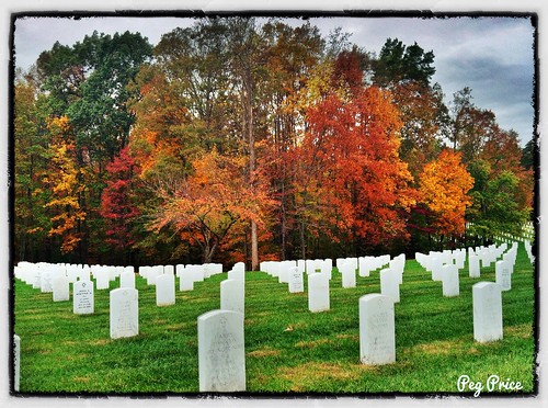 fallleaves cemetery virginia snapseed quantifynationalcemetery