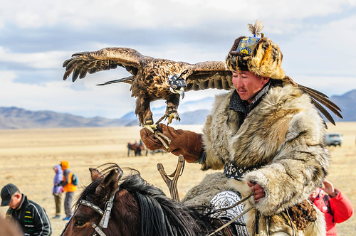 birds animals festival mongolia activities olgii naturelandscape voulcher bayanolgii