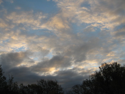 trees sky clouds sunrise landscape kansas fortriley