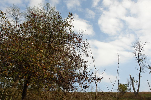 autumn nature moldova moldavia