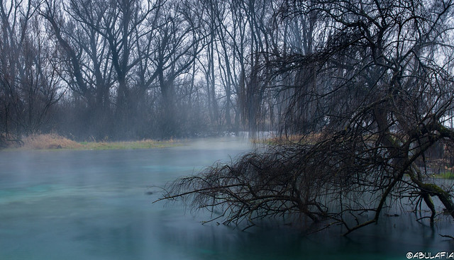 Sommerso, nella nebbia / Submerged, in the fog [Explored on 20 January 2013]