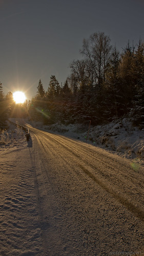 road trees winter sunset sky sun snow cold woods frost sweden sony gravel phototrip a65 sjuhärad