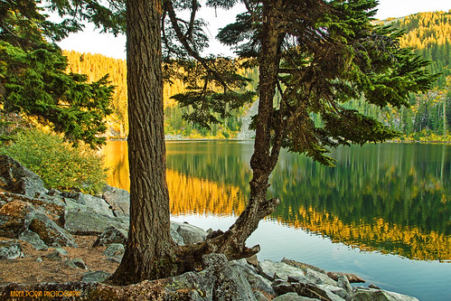trees sunset lake mountains goldenhour onone masonlake putridpetespeak