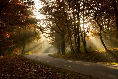 road sunlight path overijssel raysoflight ommen junne