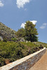 Kreta 2009-1 243