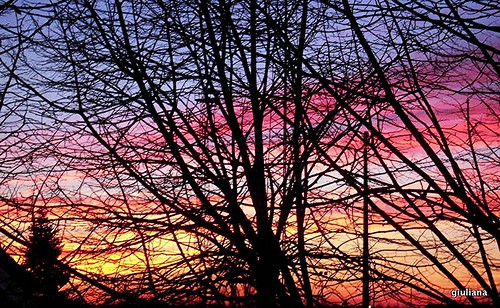trees light sunset alberi clouds tramonto nuvole colours inverno colori luce winther nikoncoolpixs610