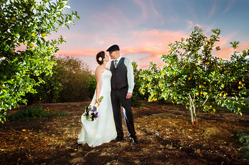 wedding sunset barn groom bride kiss orchard strobist centralcaliforniaweddingphotographer danapowersbarn danapowershouse