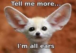 I'm all ears