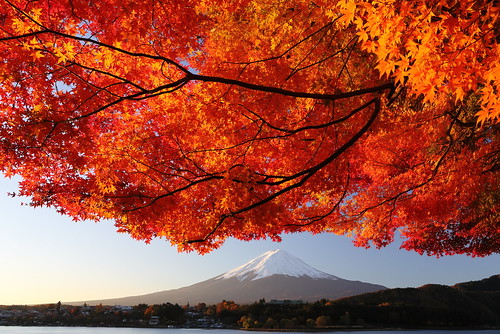 autumn mountain fuji lakekawaguchiko