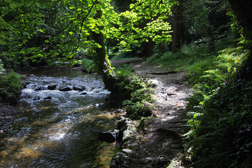 park ri ireland forest river stream cavan cabra dun kingscourt