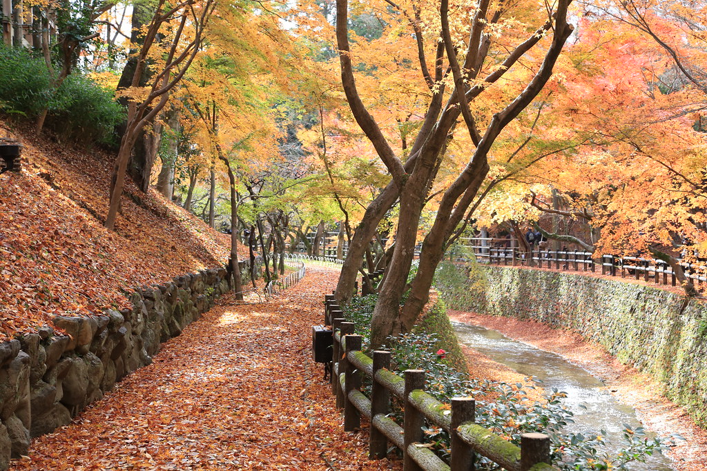 Autumn KITANO-TENMANGU 北野天満宮