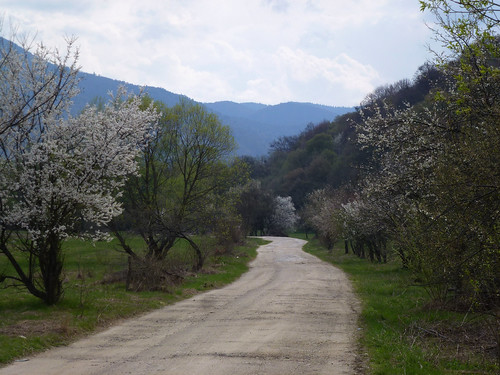 landscape spring natur romania transylvania carpathians karpaterna rumänien2012