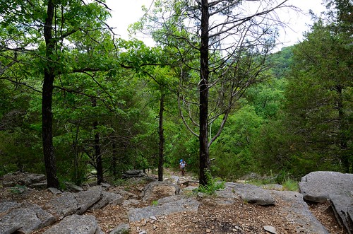 ginger hiking backpacking ozarks marktwainnationalforest barrycounty towertrail pineycreekwilderness pineycreekwildernessjune2012