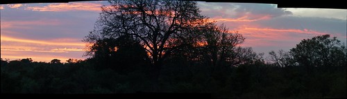 sunset autostitch panorama holiday southafrica kruger sabisands justcats sabisandsgamereserve elephantsplainslodge