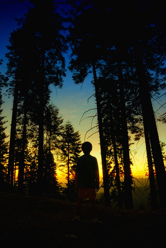 california sunset sony sequoianationalpark nex7