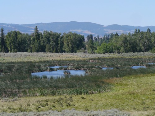 landscape montana mikaelbehrens