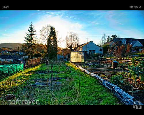 trees winter light shadow sun cold silhouettes samsung greenhouse allotment hdr gx20 tomraven aravenimage rememberthatmomentlevel1 q42012