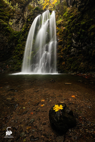 green water oregon waterfall leaf foliage h20 fallscreekfalls oregonunitedstates yelloworegonunitedstates