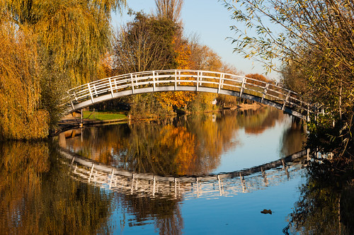 travel bridge blue autumn trees summer sky orange white holland reflection tree fall tourism nature water netherlands beautiful dutch leaves yellow architecture rural vintage river landscape outdoors reflecting golden canal wooden construction colorful european village view place riverside outdoor branches traditional small herfst perspective smooth scenic culture style landmark surface architectural historic reflected romantic ripples brug curve curved wit autumnal banks houten witte kleurrijk zuidholland reflectie spiegeling najaar graafstroom gebogen oevers molenaarsgraaf coth5