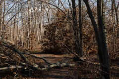 Hurricane Sandy Damage at Mill Pond Park, Bellmore, New York. 2012