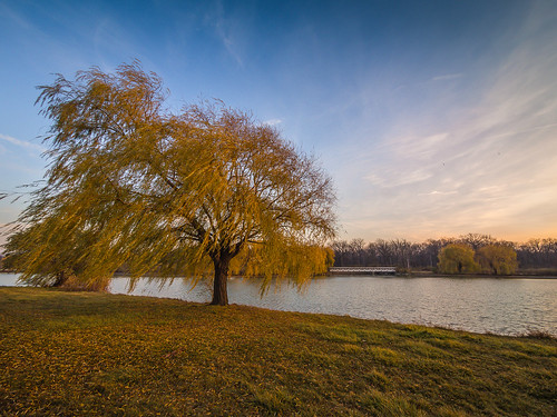Willow 2 at Belle Isle