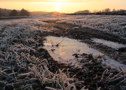 sun ice grass germany puddle village hoarfrost thuringia eis pfütze schackendorf worm´seyeview rauhreif