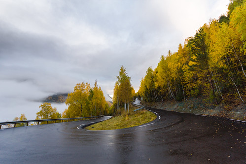 road travel autumn cloud tree norway landscape wideangle barrier felhő fa tájkép út utazás ősz norvégia oppland korlát nagylátószög