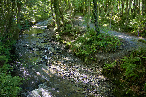 park ri ireland forest stream path cavan dun kingscourt